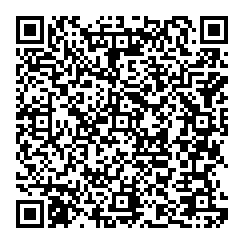 QR Code 2